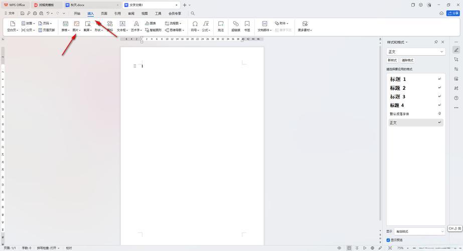 如何在WPS Word中设置图片形状？